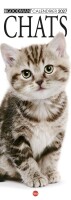 Cal. Chats long Francia n.5