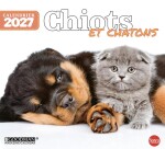 Cal. Chiots de bureau n.4