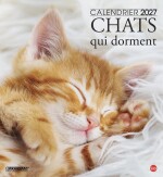 Cal. Chats dorment magnum n.4