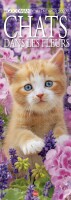 Cal. Chats fleurs long Francia n.2
