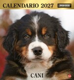 Copertina rivista Calendario Magnum Cani