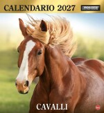 Copertina rivista Cal. Cavalli magnum
