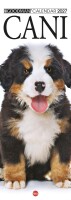 Copertina rivista Cal. Cani long