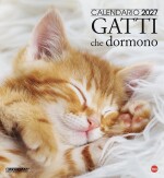 Copertina rivista Cal. Gatti dormono magnum