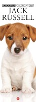 Copertina rivista Cal. Jack Russell long