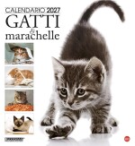 Copertina rivista Cal. Gatti marachelle magnum