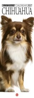 Copertina rivista Cal. Chihuahua long