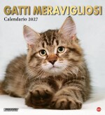 Copertina rivista Cal. Gatti meravigliosi magnum