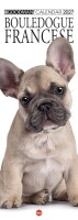 Copertina rivista Cal. Bouledogue fr. long