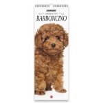 Copertina rivista Barboncino Libreria