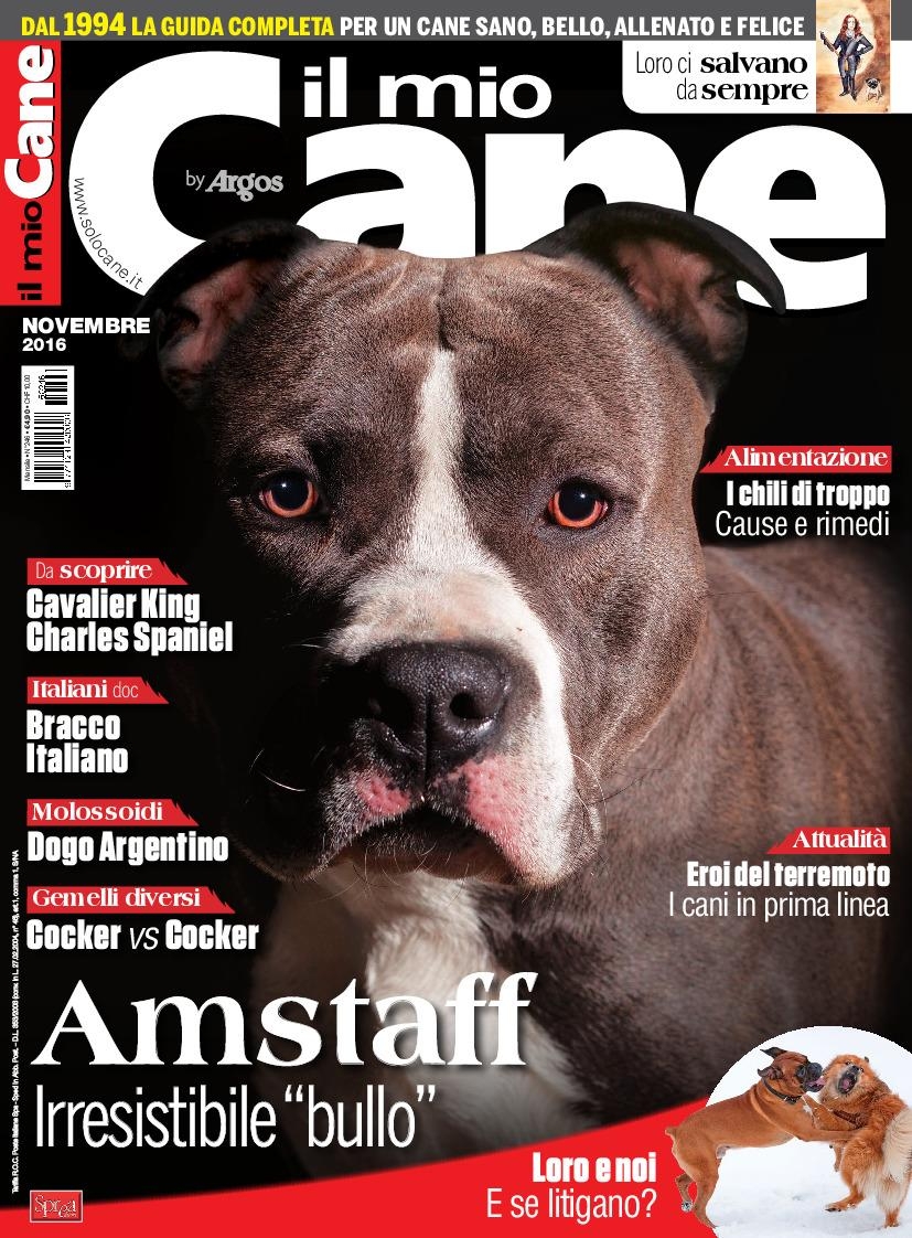 Copertina Il Mio Cane n.246